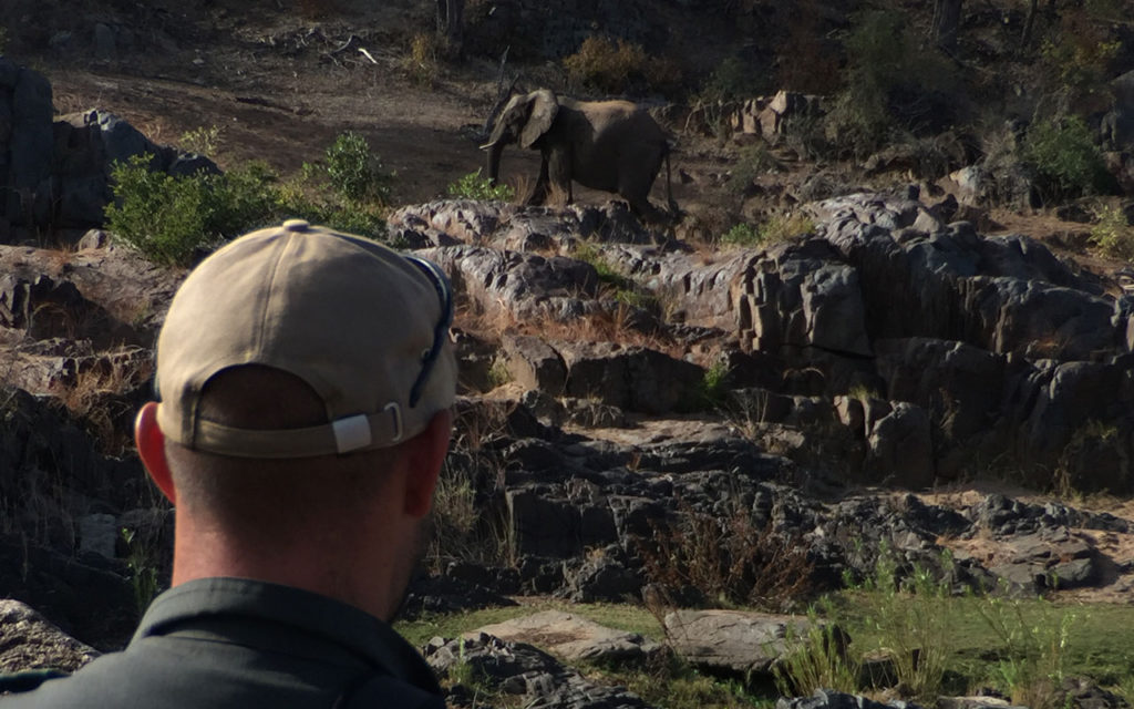 Elephant encounter on the Backpack Trail in Kruger National Park
