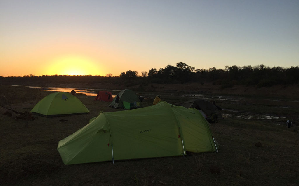 Walking Safari in Kruger, sleeping in your own tent. 